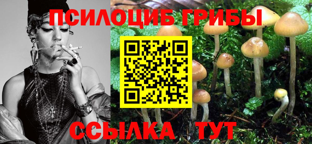 Сосновый Бор  Галлюциногенные грибы Psilocybe  Вход с VPN 