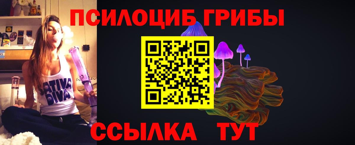 Галлюциногенные грибы Cubensis Сосновый Бор